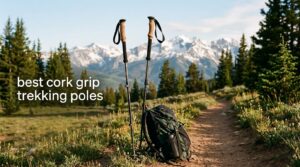 best cork grip trekking poles