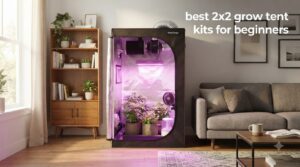 best 2x2 grow tent kits for beginners