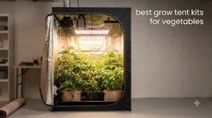 best grow tent kits for vegetables