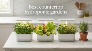best countertop hydroponic gardens