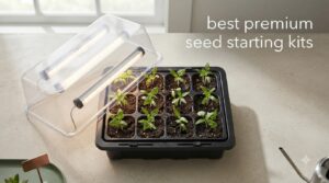 best premium seed starting kits