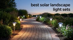 best solar landscape light sets