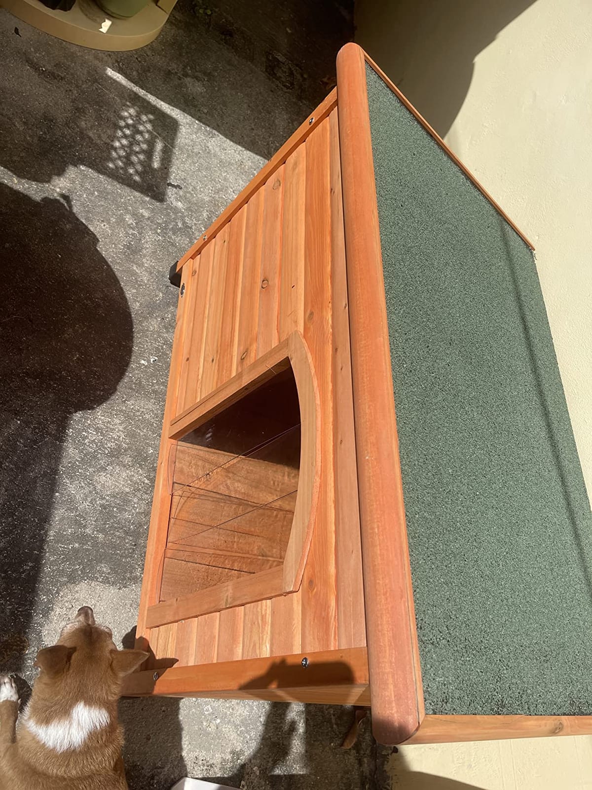 TRIXIE Pet Products Dog Club House, Large,Glazed Pine,40.75x26.75x28.25 Inch (Pack of 1),39552 customer photo 2