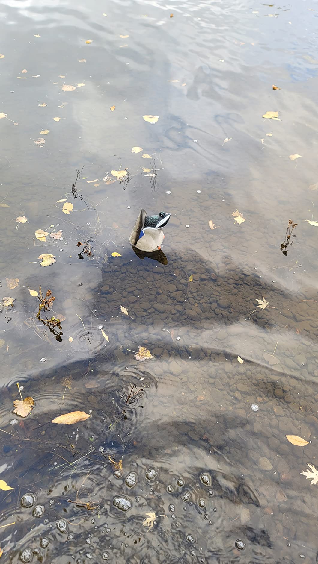 Avery GHG Pro-Grade Mallard Butt-Up Feeder Decoys customer photo 2