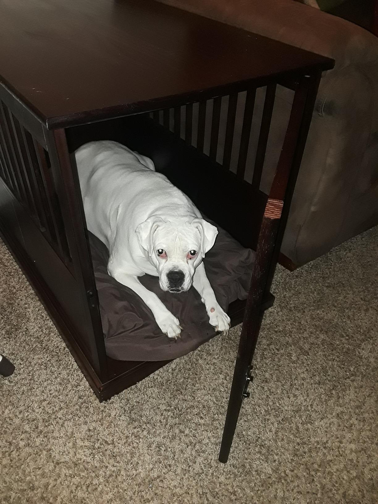 Casual Home Wooden Medium Pet Crate, End Table, Espresso customer photo 1
