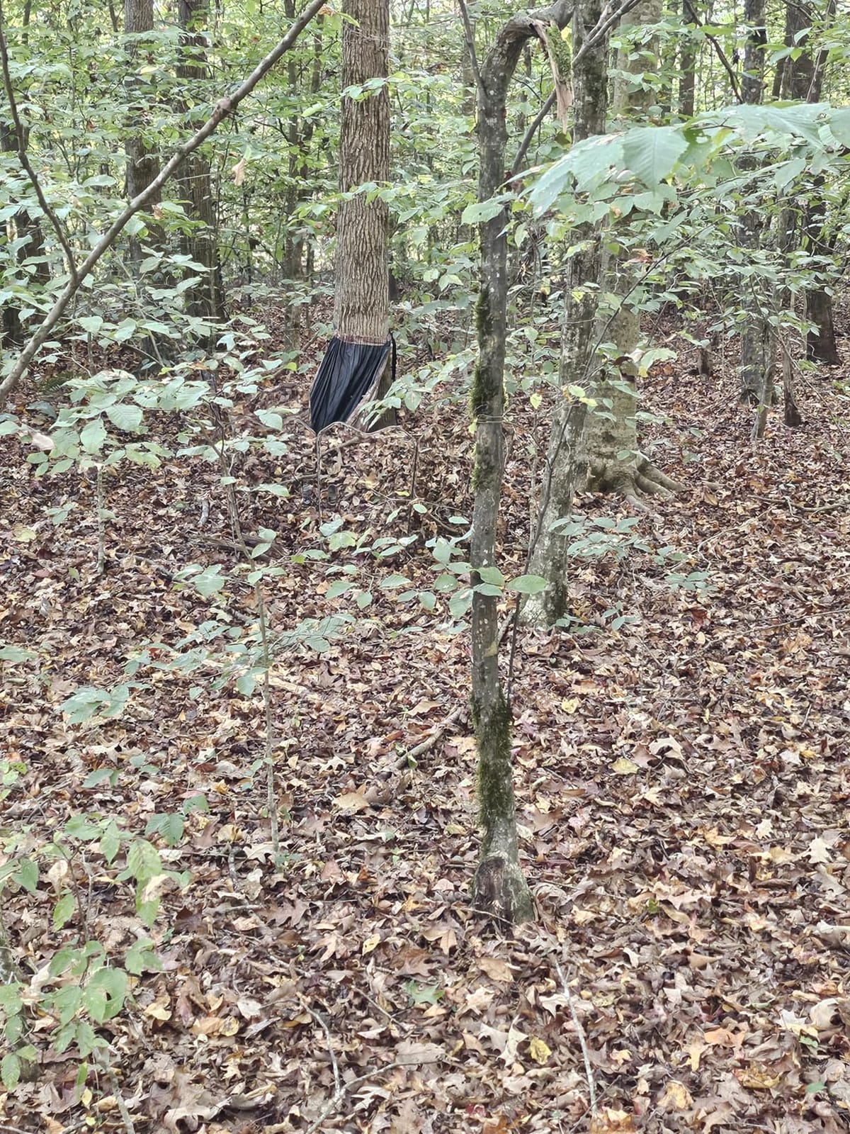 GhostBlind Ground Hunting Blind with Mirrored Panels, Ideal for Turkey and Deer Hunting customer photo 1