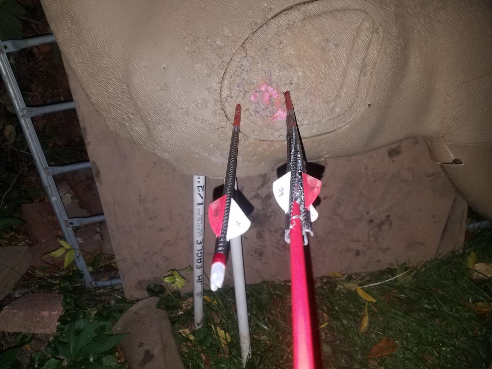 Carbon Express Maxima RED Fletched Carbon Arrows with Dynamic Spine Control and Blazer Vanes, 6-Pack, Available in 250(.400 Spine) & 350(.350 Spine) customer photo 2