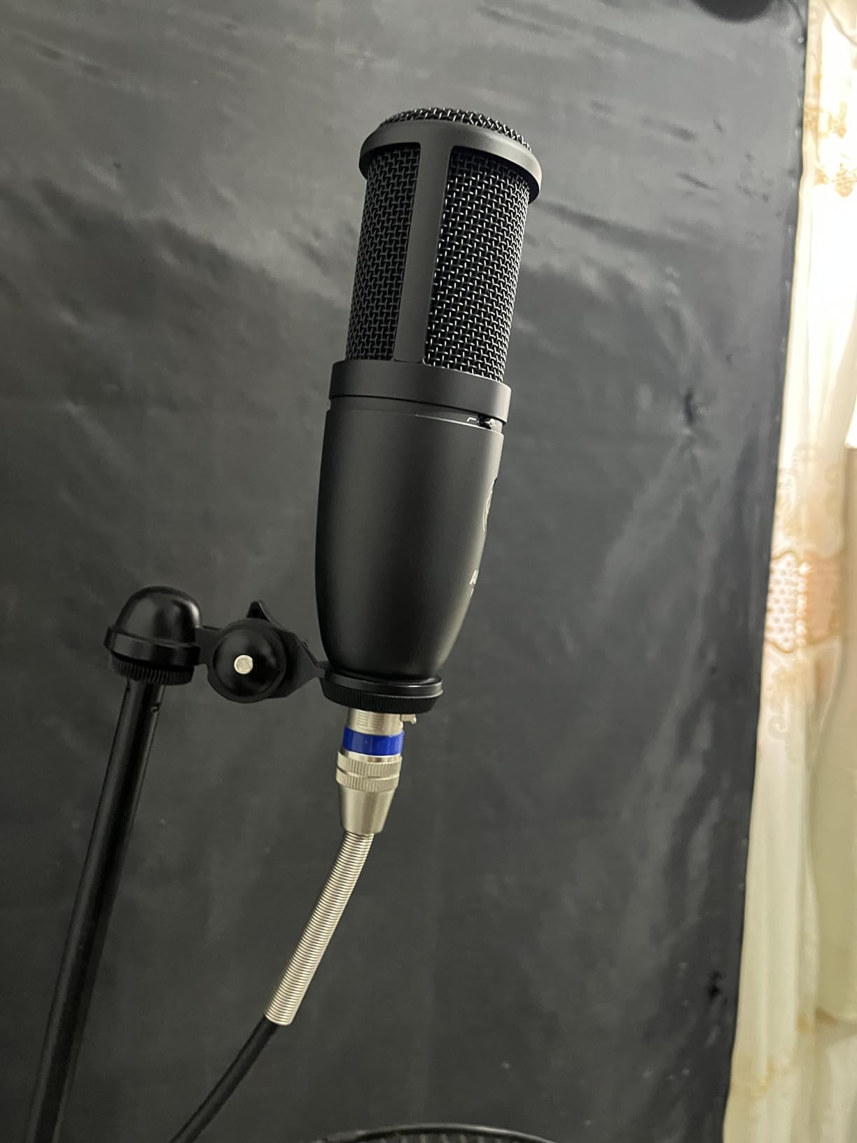 AKG Pro Audio P120 - Affordable 2/3-Inch Diaphragm Condenser Microphone for Clear Vocals & Instruments. Studio Recording or Live. XLR Connector. Black customer photo 1