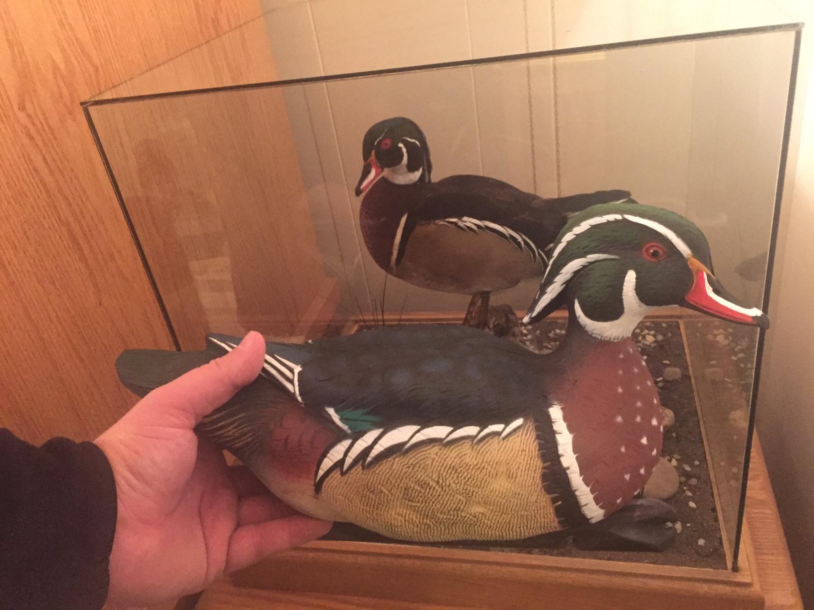 Avian X Topflight Realistic Floating Wood Duck Decoys with Weight-Forward Swim Keel, Set of 6 (Multicolor) customer photo 2