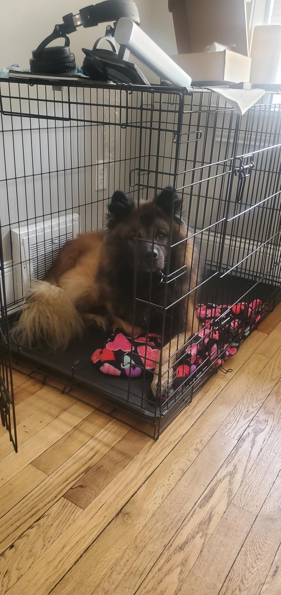 Carlson Pet Products Single Door Metal Dog Crate, Intermediate 36