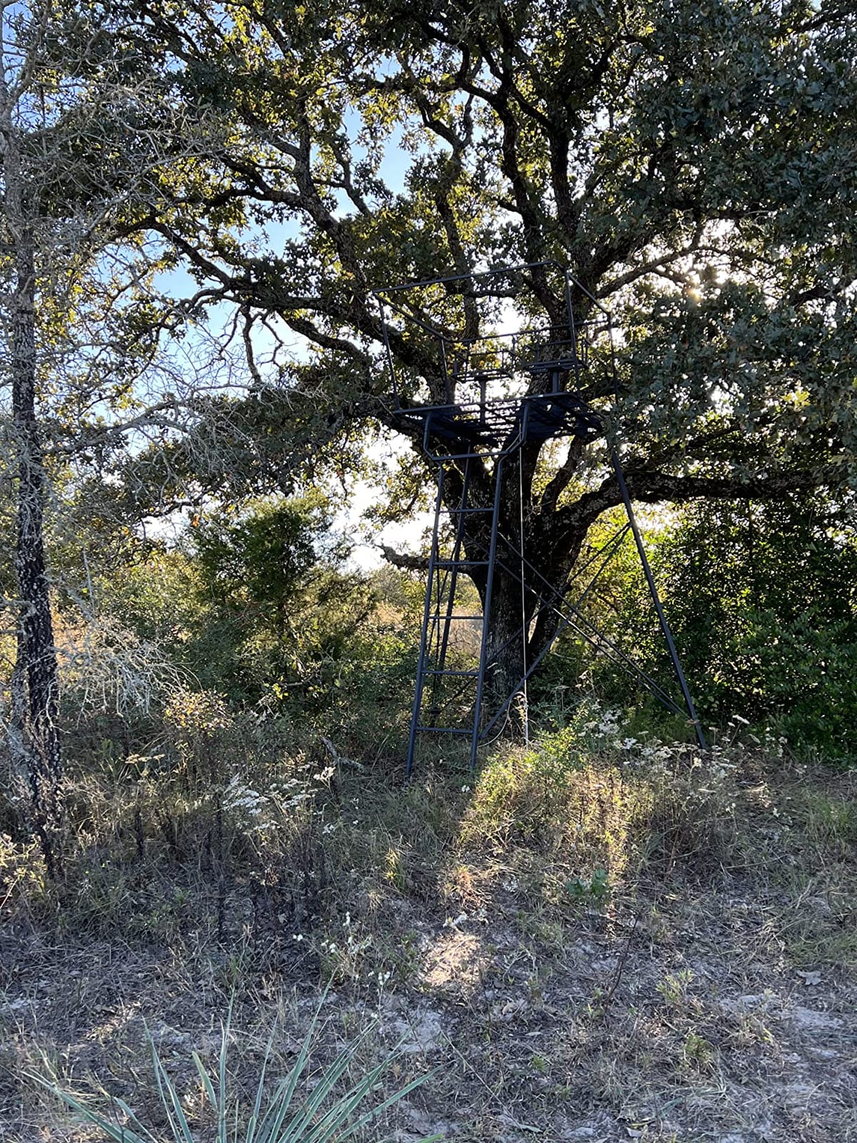 Guide Gear 12' Hunting Climbing Tree Stand Tower with Ladder, 2 Person Treestand, Hunting Gear, Equipment, and Accessories customer photo 1