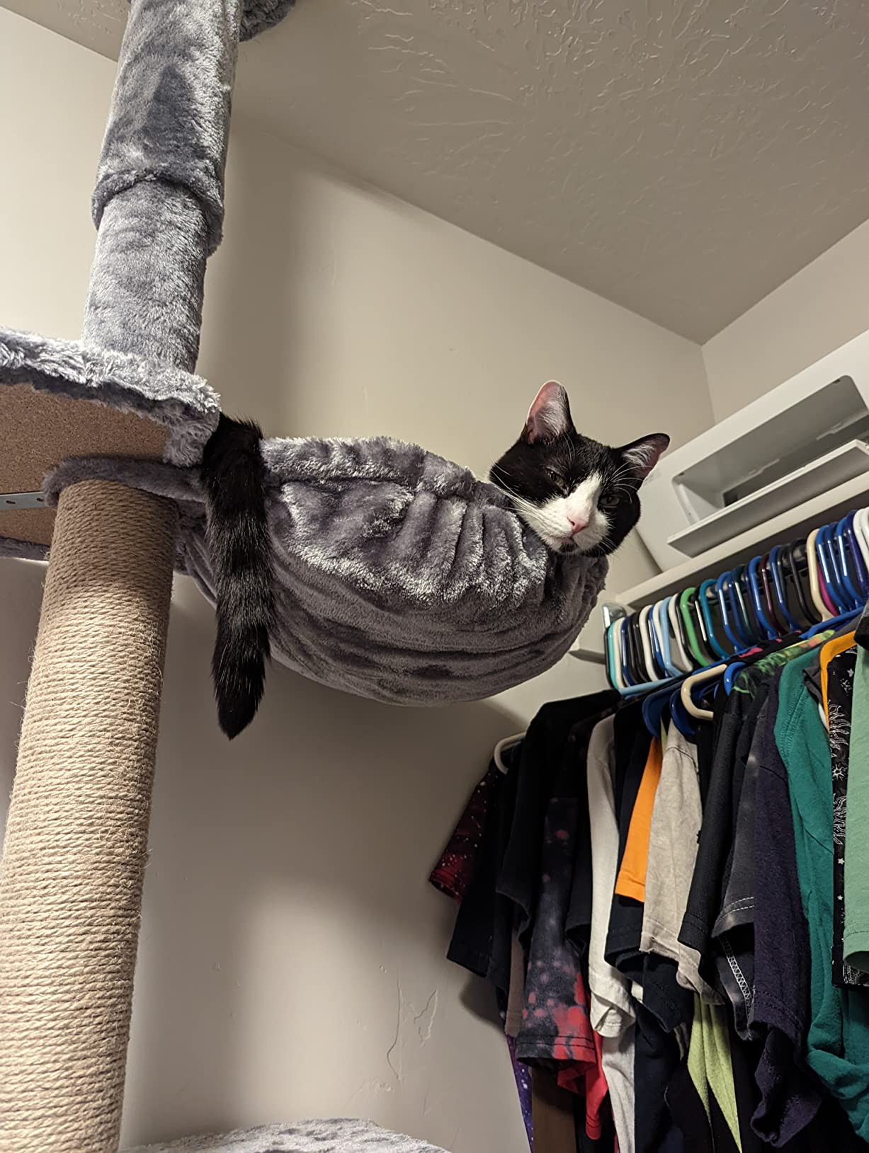 Roypet Adjustable 93