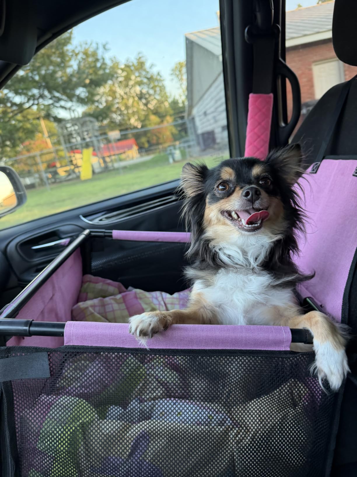 GENORTH Small Dog Car Seats for Small Dogs,Portable Puppy/Pet Car Booster Seat with Clip-On Leash and Mesh Window for Pet Up to 11 lbs customer photo 1
