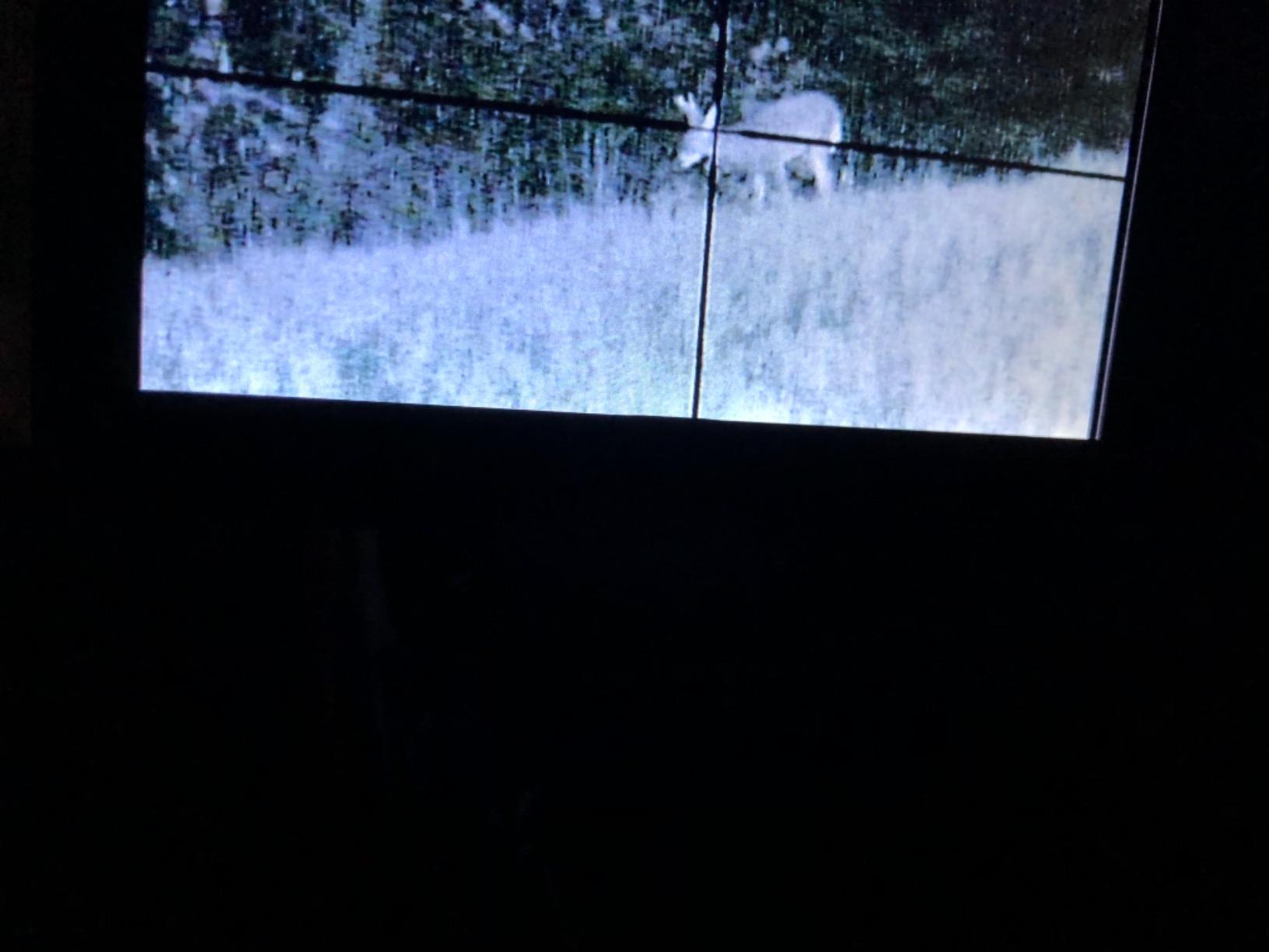 DIY Rifle Night Vision Scope with CCD and Flashlight for Riflescope Hunting customer photo 2