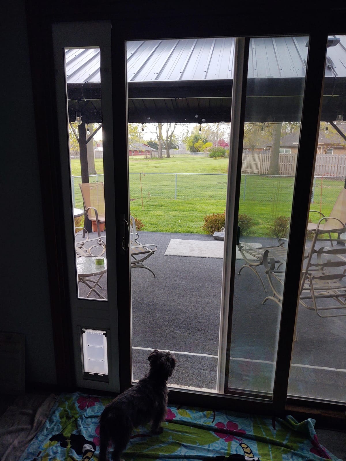 Endura Flap Pet Door for Vinyl Sliding Glass Doors | Weatherproof & Insulated Dog Door for Vinyl Sliders | Durable with Secure Locking Cover | White, Medium Flap, 74.75