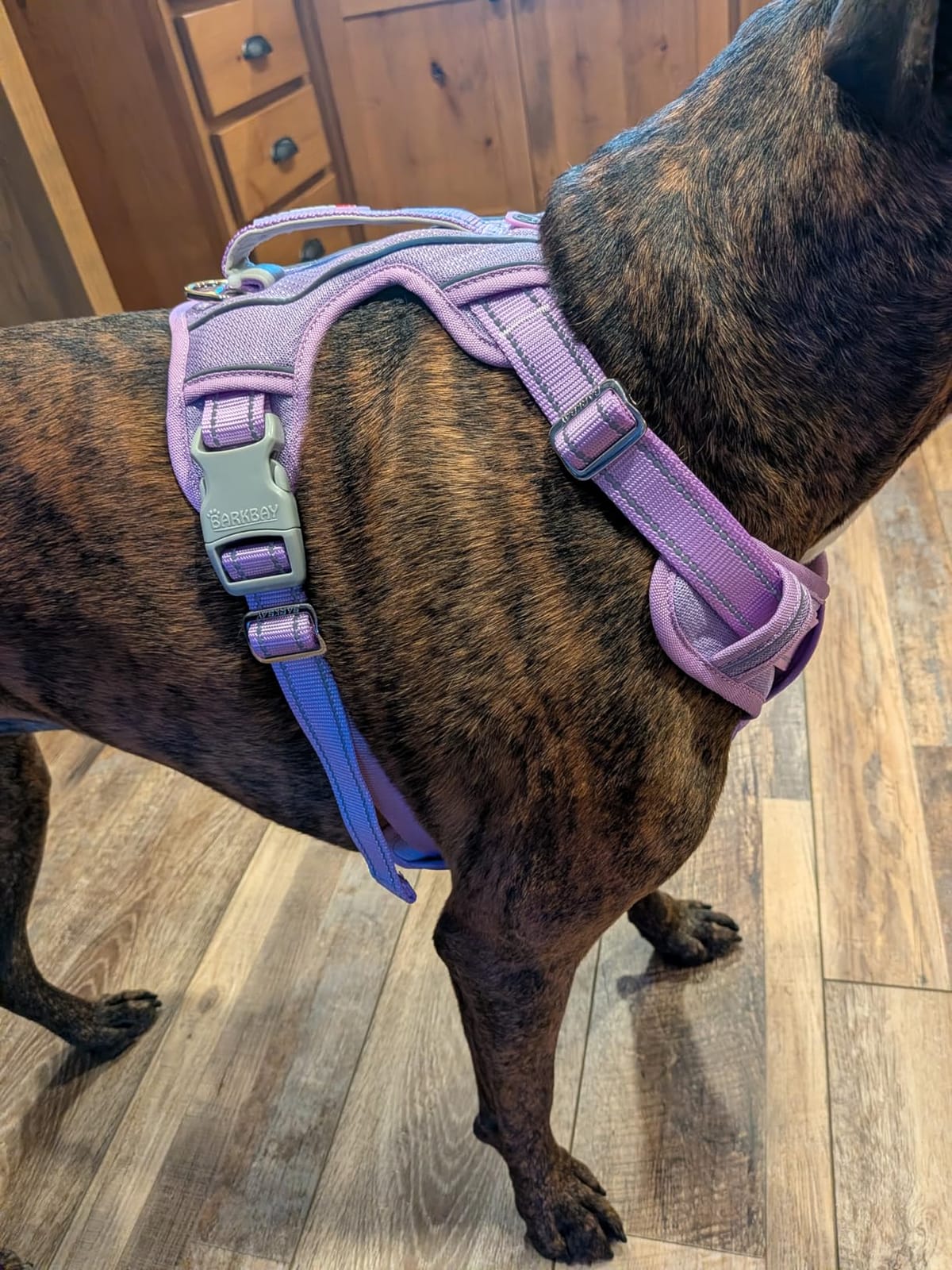 BARKBAY Dog Harness for Large Dogs No Pull Dog Vest ID Tag Pocket customer photo 2