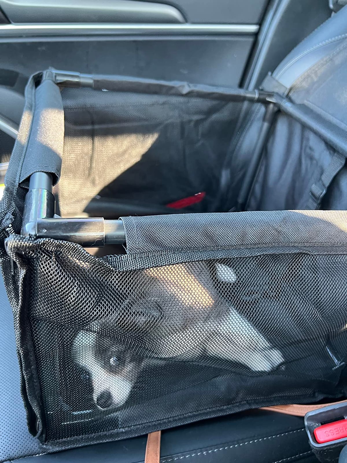 Dog Car Seat Puppy Portable Pet Booster Car Seat with Clip-On Safety Leash and PVC Support Pipe, Anti-Collapse,Perfect for Small Pets customer photo 2