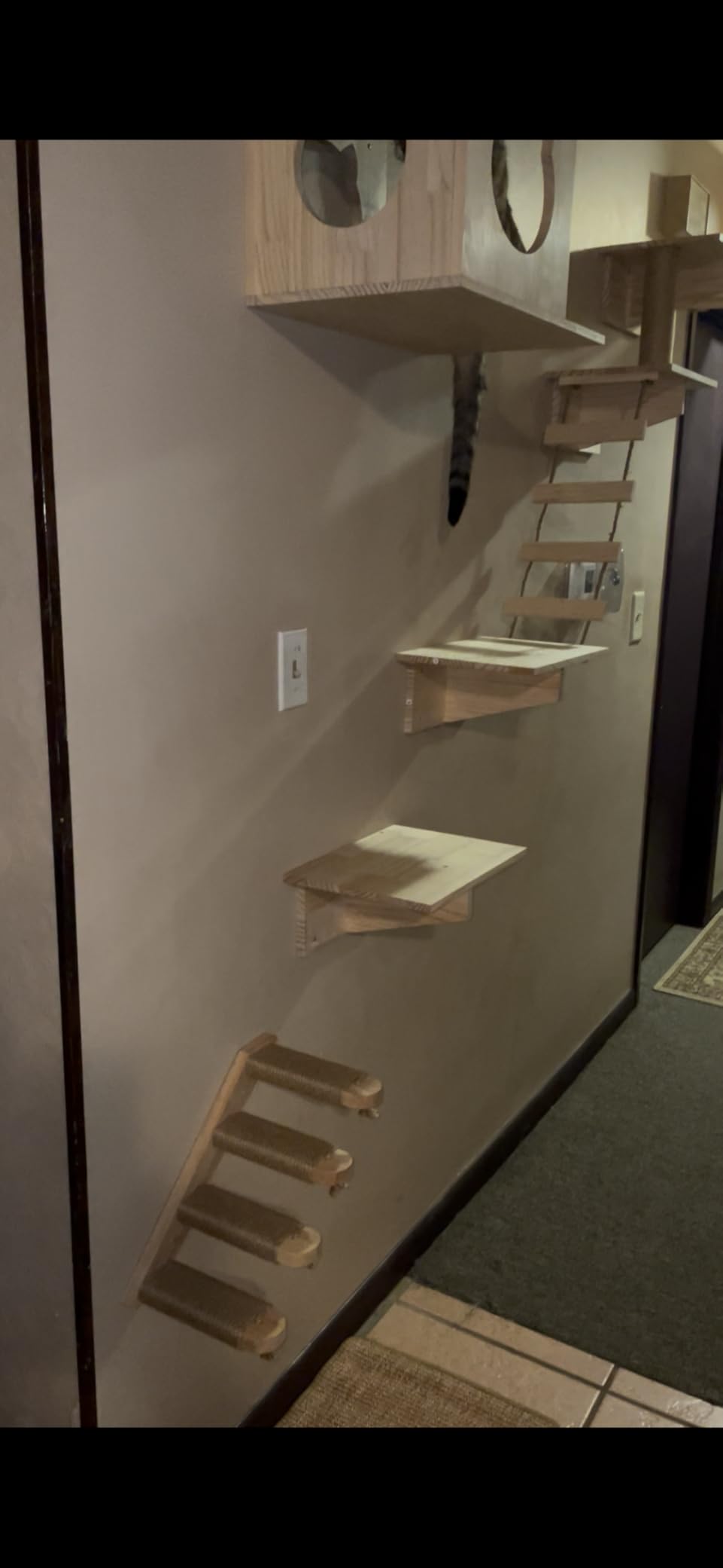 FUKUMARU Cat Climbing Shelf Wall Mounted, Small customer photo 1