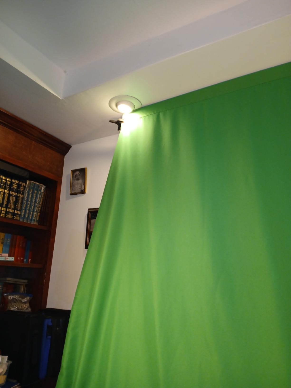 10 X 7 FT Green Screen Backdrop for Photography, Virtual GreenScreen customer photo 1