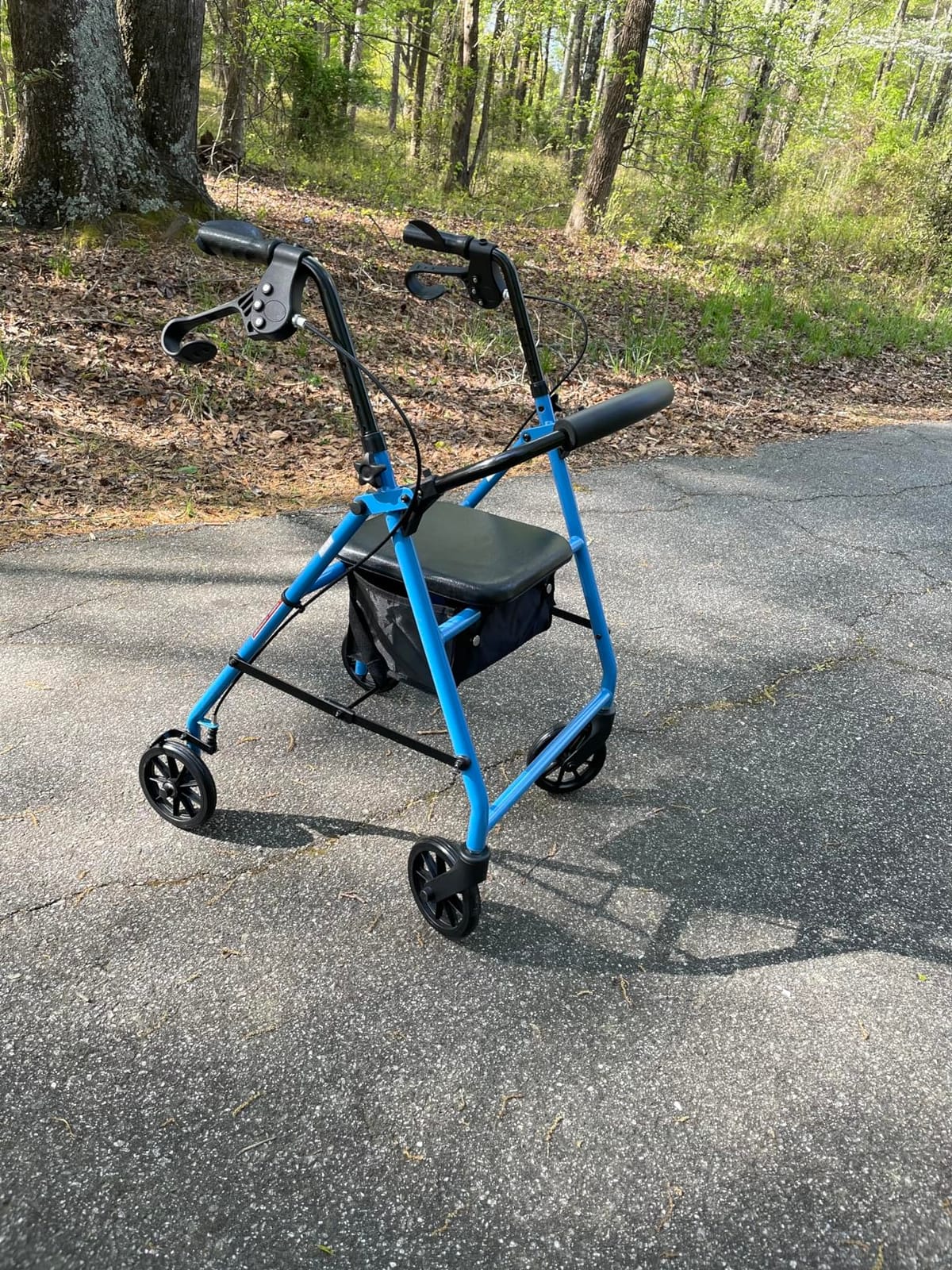 Medline Mobility Dependable Steel Rollator Walker, Light Blue, 300 lb. Weight Capacity, 6” Wheels, Adjustable Handle, Padded Seat & Backrest, Rolling Walker for Seniors and Mobility Impaired customer photo 1
