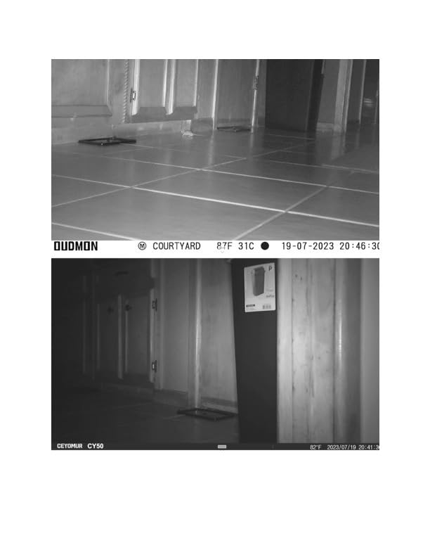 CEYOMUR Trail Camera, 36MP HD Trail Cam with Night Vision Motion Activated customer photo 1