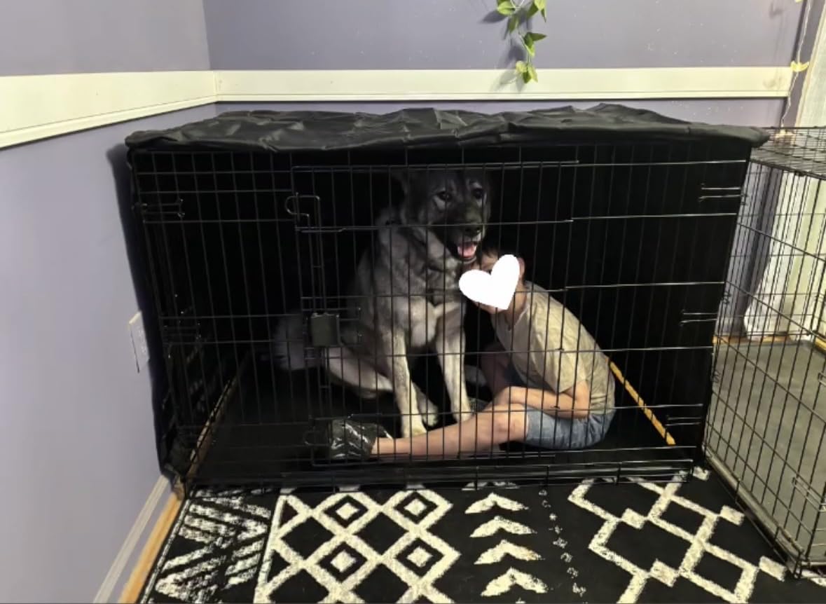 Amazon Basics Portable, Collapsible Metal Wire Dog Crate with Removable Tray, Double Door, Easy to Assemble, Divider Panel for Large Dogs, 42