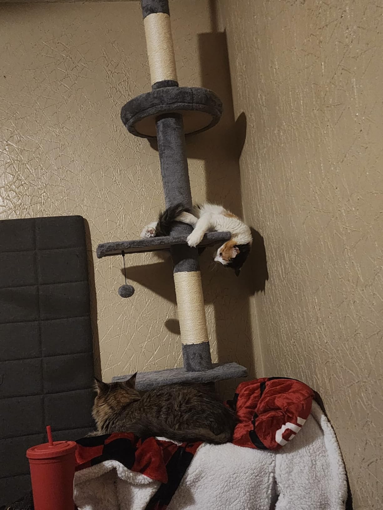 PETEPELA 5-Tier Floor to Ceiling Cat Tree, 95-107In Tall Cat Tower Grey customer photo 1