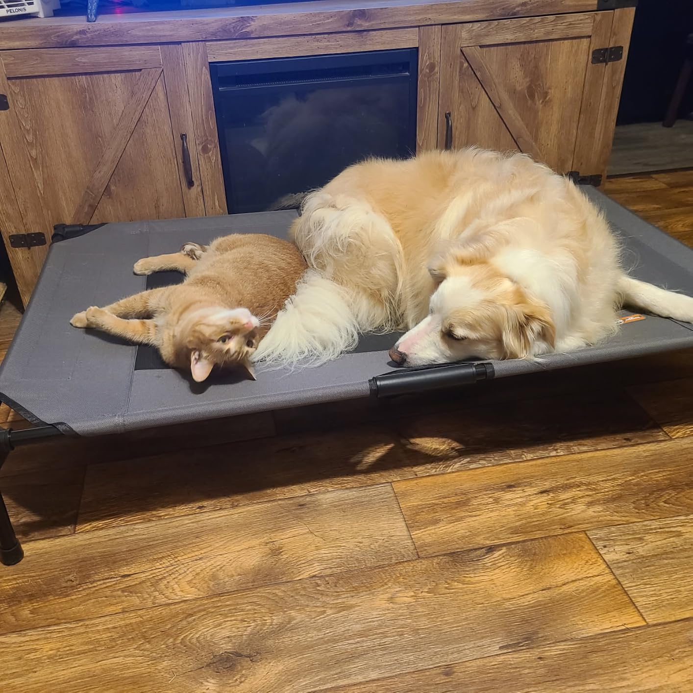 K&H Outdoor Elevated Dog Bed for Medium & Large Pets, Charcoal, 42x30in customer photo 2