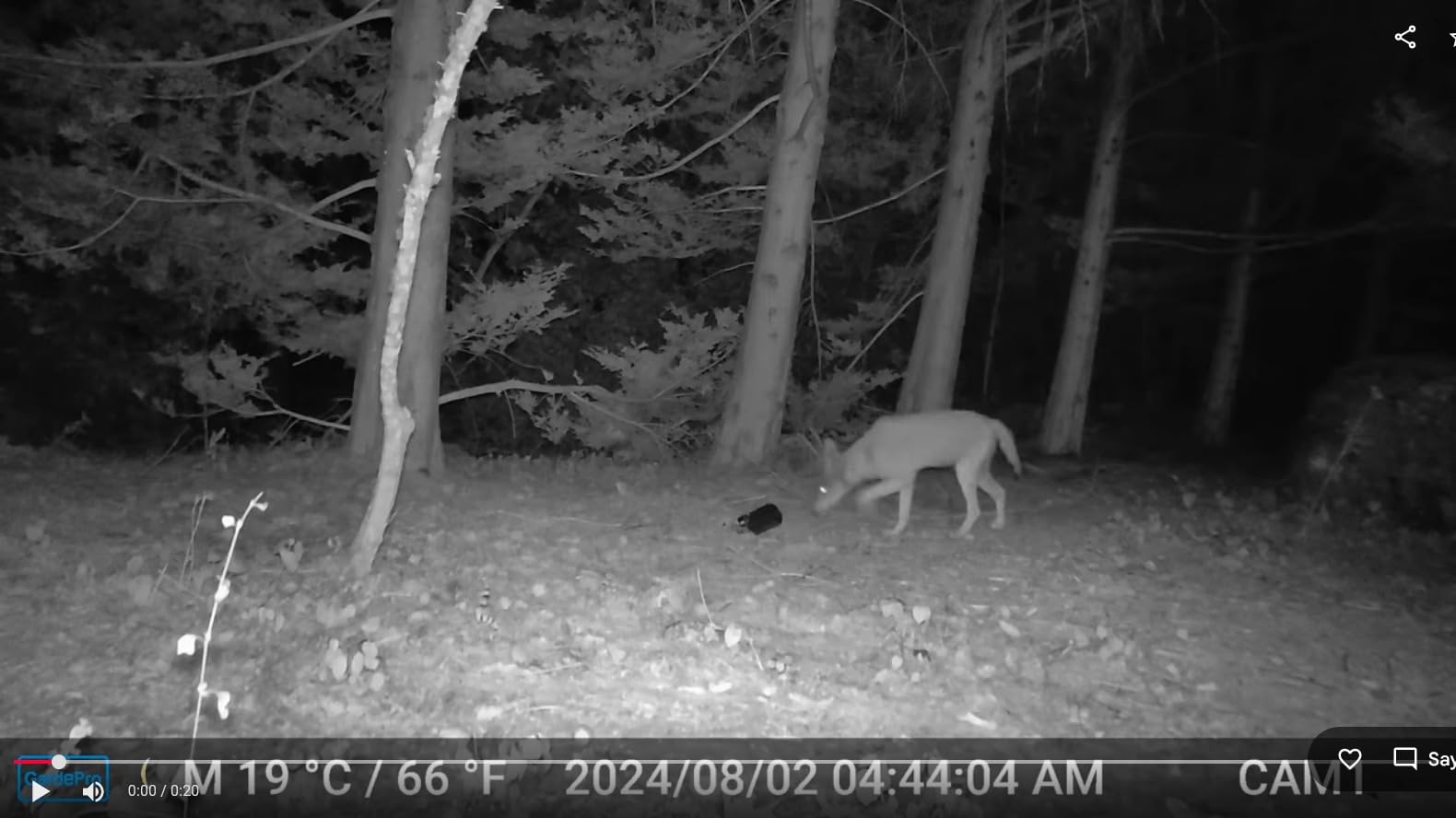 GardePro E6+ WiFi Bluetooth Trail Camera, Dual Antennas customer photo 2