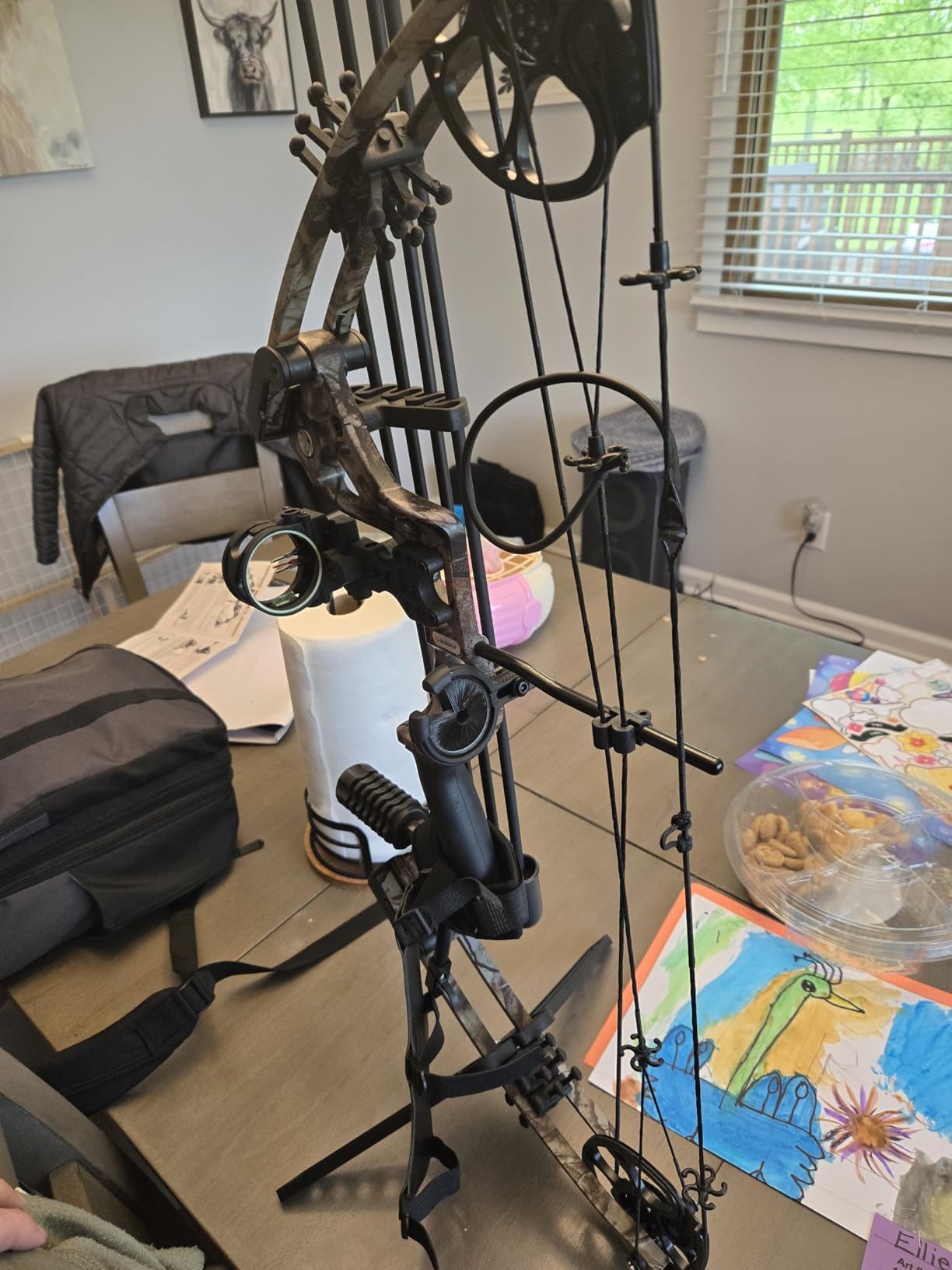 Compound Bow Set 15-45lbs for Pull Beginner and Teens Right Handed Adjustable 18