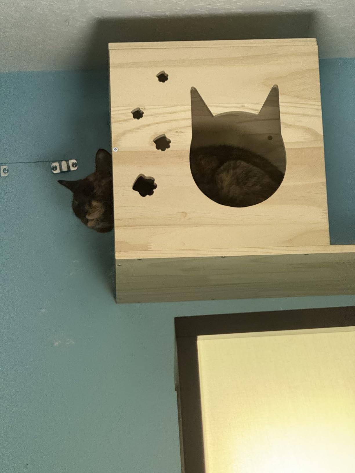 Cat Wall Shelves, 9-Piece Cat Wall Furniture for Large Cats customer photo 2
