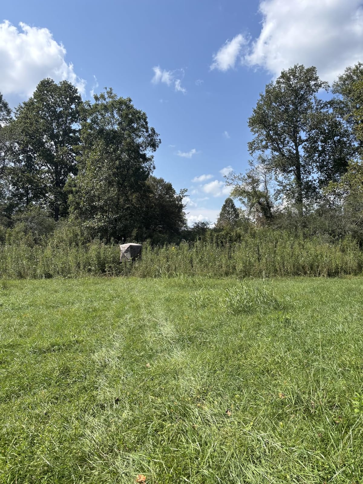 Muddy Ground Blind Platform, 65 L x 65 W Steel Outdoor Hunting Trap Door customer photo 1