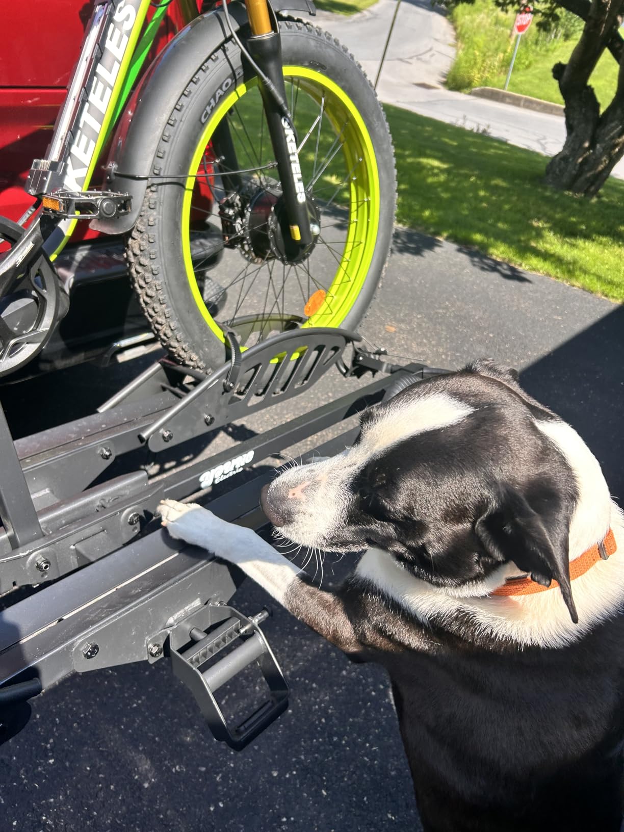 Young Electric Ebike Rack with Ramp 200 lbs 2-Bike Rack Hitch Mount customer photo 2