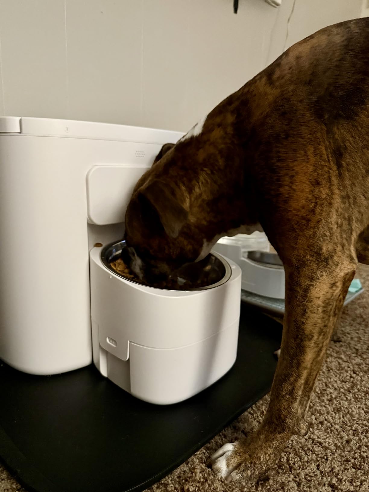 Dokoo Automatic Dog Feeder for Large Breeds, 15L/63 Cups Vacuum-Sealed Airtight Auto Pet Feeder for Dry Food, Timed Feeding, Anti-Clog Dispenser 2-22mm Kibble, Voice Recorder, Stainless Steel Bowl customer photo 2