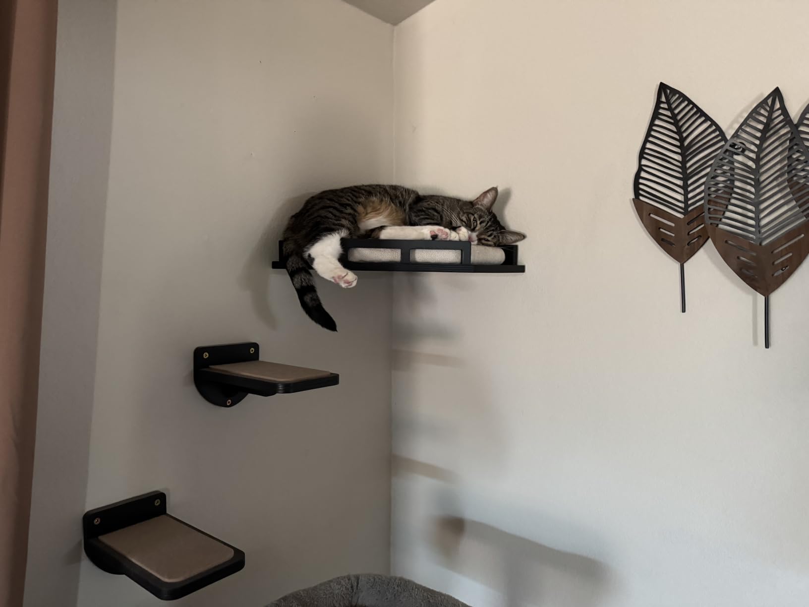 INICIO Cat Wall Shelves and Steps, 4-Piece Wooden Cat Wall Furniture Set customer photo 1