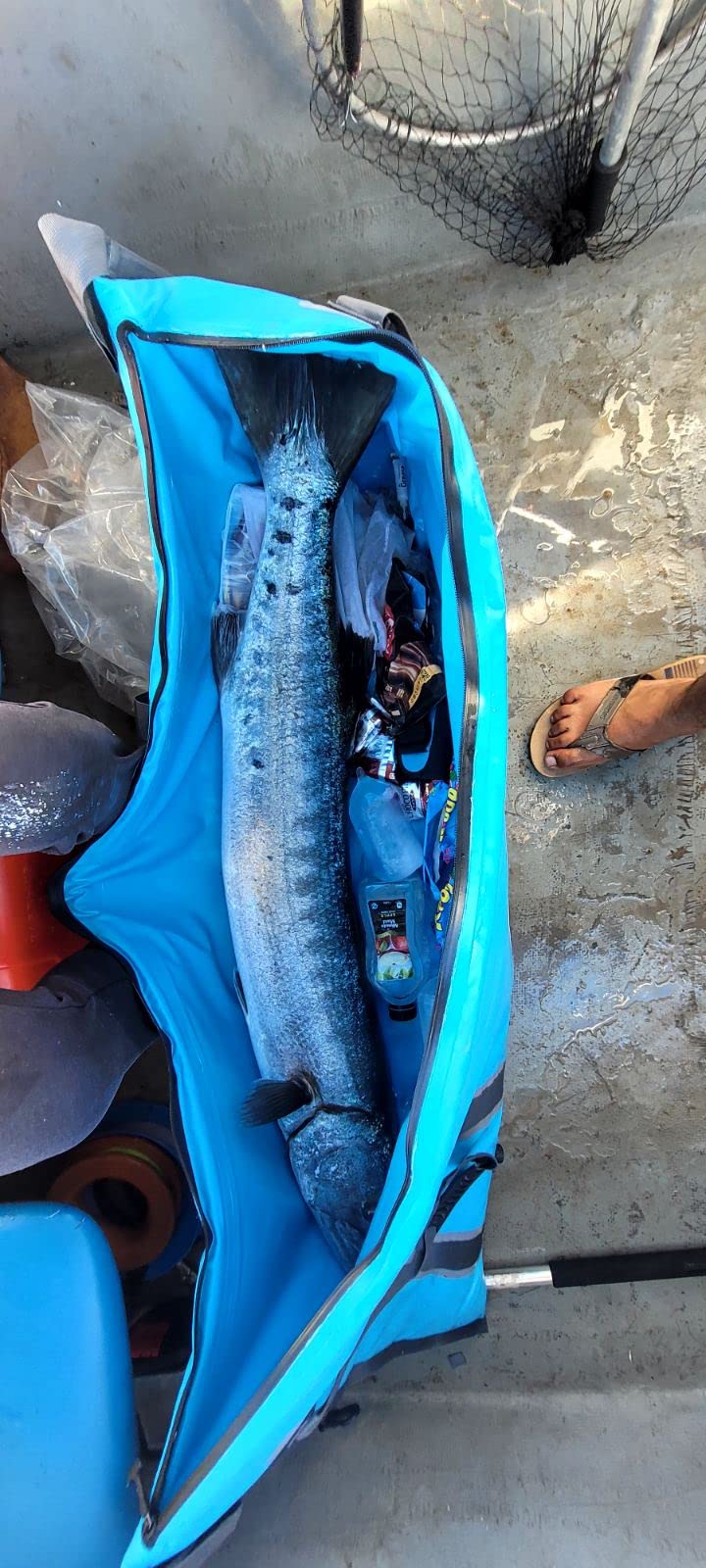 MORXPLOR Insulated Fish Cooler Bag for Fishing 41x17 47x17In 50x20In 60x24 72x30 80X40 Inches,Large Insulated Fish Kill Bag,Fishing Catch Bag Cooler with Water-resistant Zipper customer photo 1