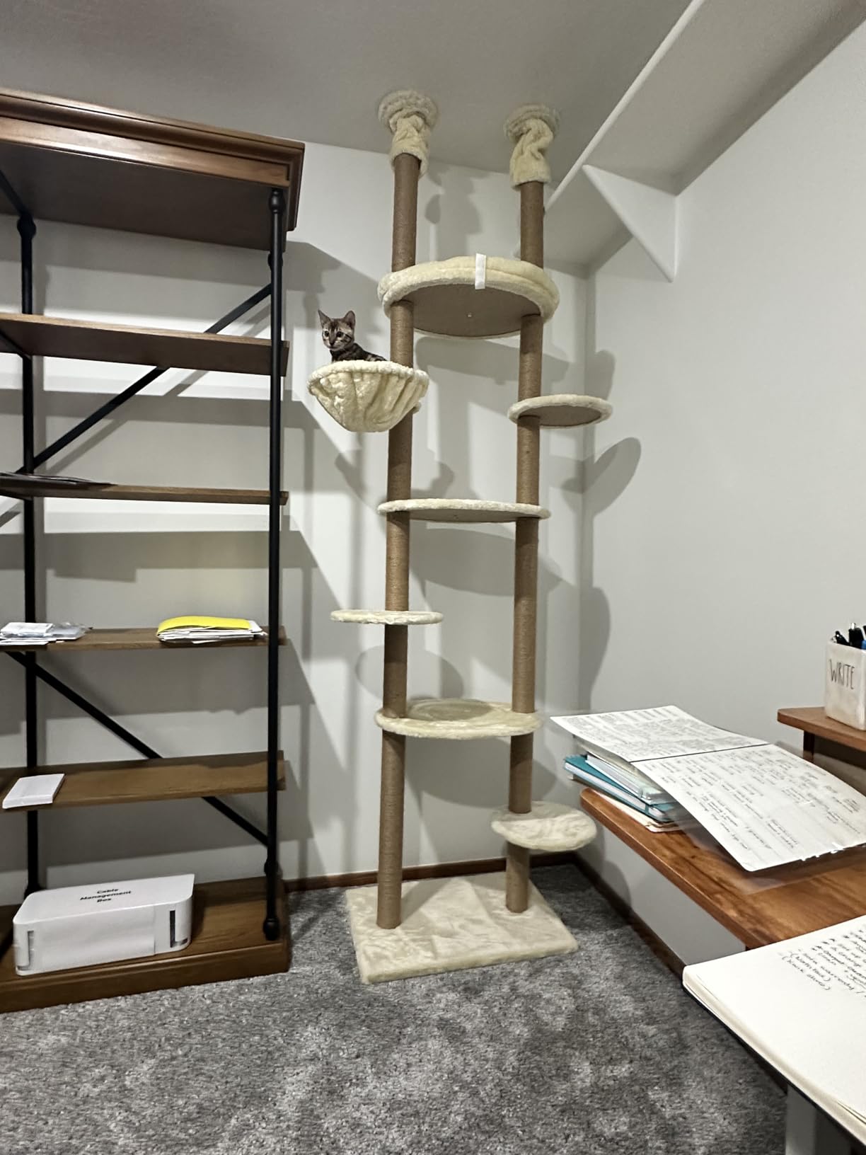 Cat Tree, Floor to Ceiling Cat Tower Adjustable Height [92-102 Inches=234-258cm], 7 Tiers Cat Climbing Tree with Hammock,Platforms and Sisal-Covered Scratching Posts for Indoor Cats,Light Grey customer photo 1