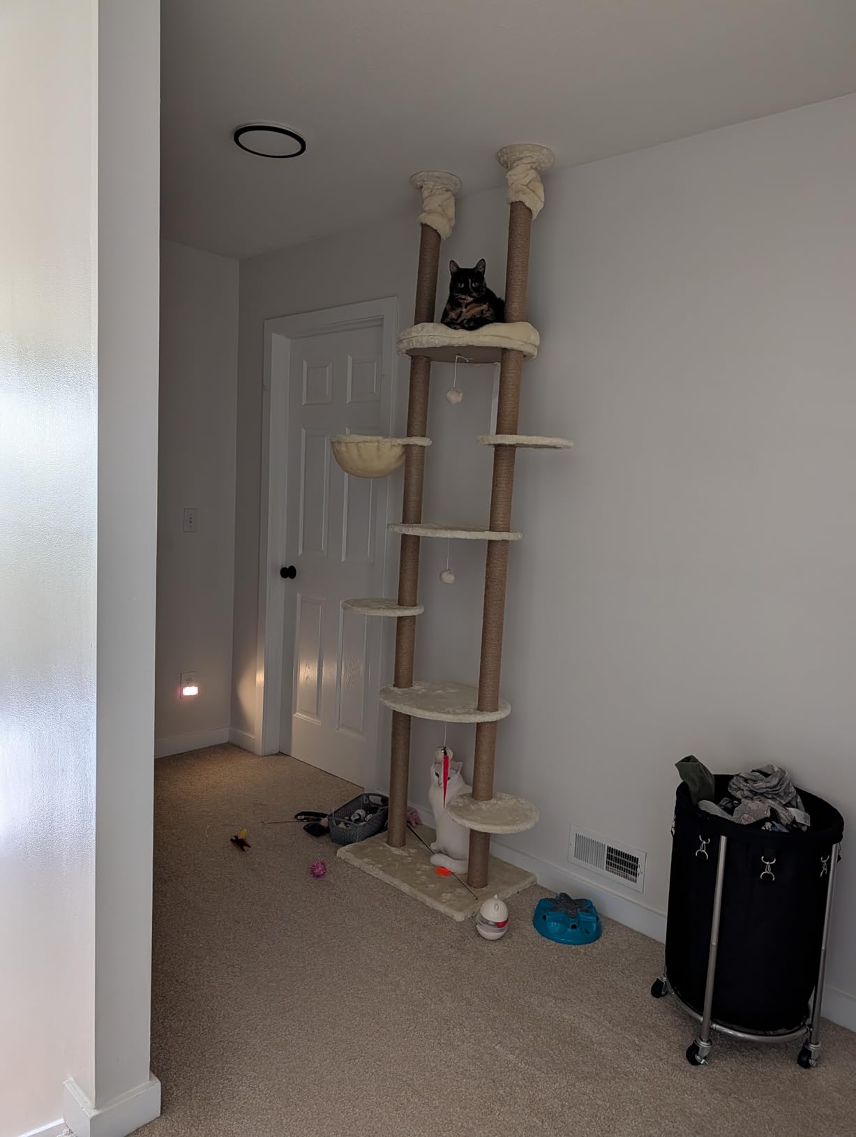 Cat Tree, Floor to Ceiling Cat Tower Adjustable Height [92-102 Inches=234-258cm], 7 Tiers Cat Climbing Tree with Hammock,Platforms and Sisal-Covered Scratching Posts for Indoor Cats,Light Grey customer photo 2