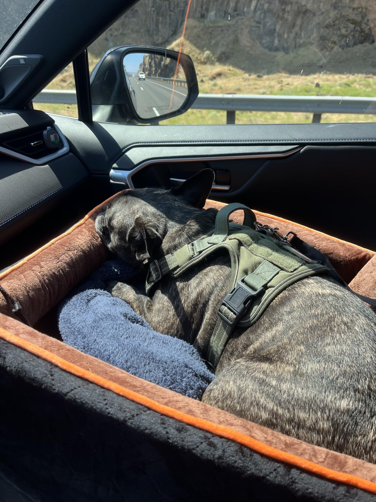 HEGGCOOE Small Dog Car Seat, Memory Foam Dog Booster Car Seats with Thick Cushion for Medium Dogs Under 35lbs, Detachable Washable Dog Bed for Car, Pet Carseat with Storage Pockets,2 Safety Belts customer photo 1
