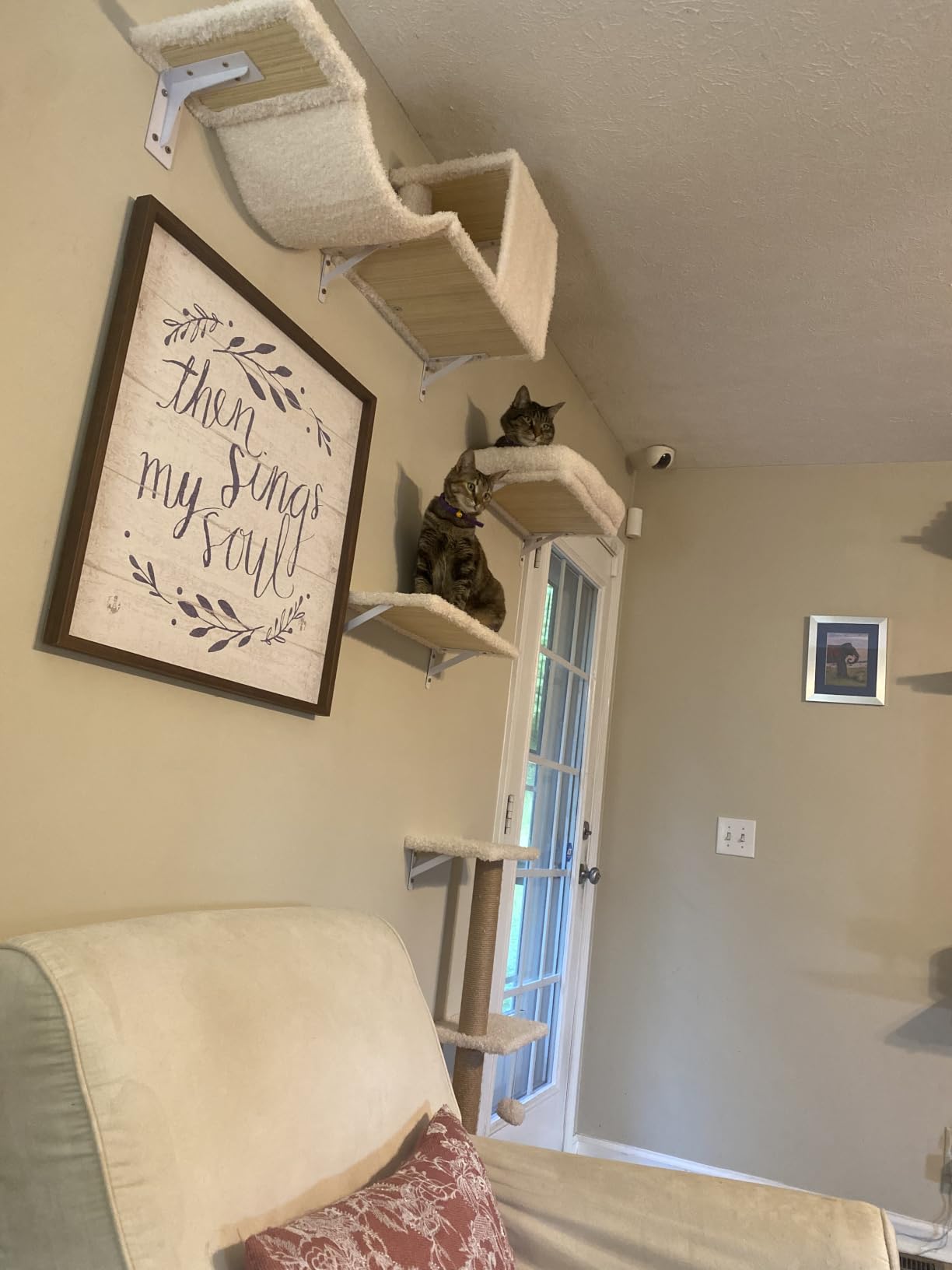 FUKUMARU Cat Wall Shelves, 4 in 1 Set, Grey customer photo 1