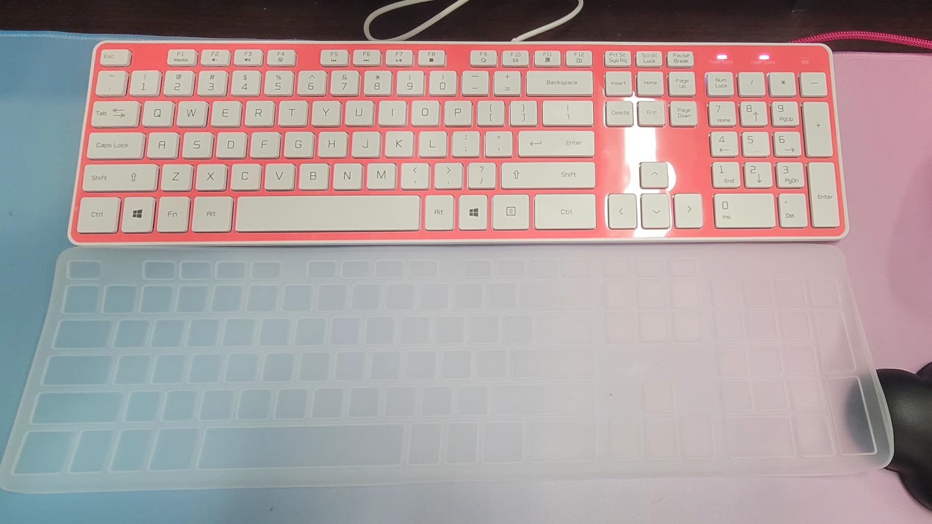 USB Wired Keyboard for Window,Comfortable Quiet Chocolate Keys, Durable Ultra-Slim Wired Computer Keyboard(QWERTY) for PC, Windows 11/10/8/7/XP/Vista KB1430 customer photo 2