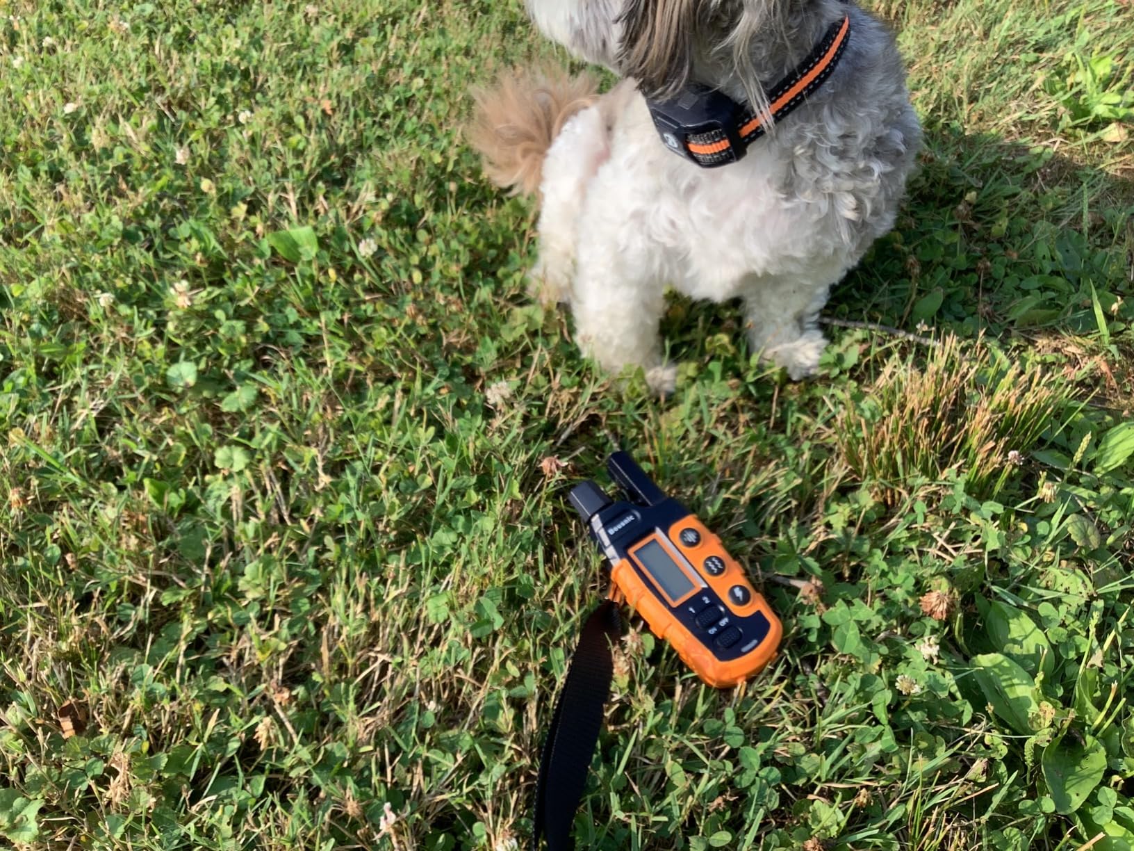 Bousnic Dog Shock Collar - 3300Ft Training Collar with Remote for 5-120lbs Small Medium Large Dogs Rechargeable Waterproof e Collar with Beep (1-8), Shake(1-16), Safe Shock(1-99) Modes (Black) customer photo 1