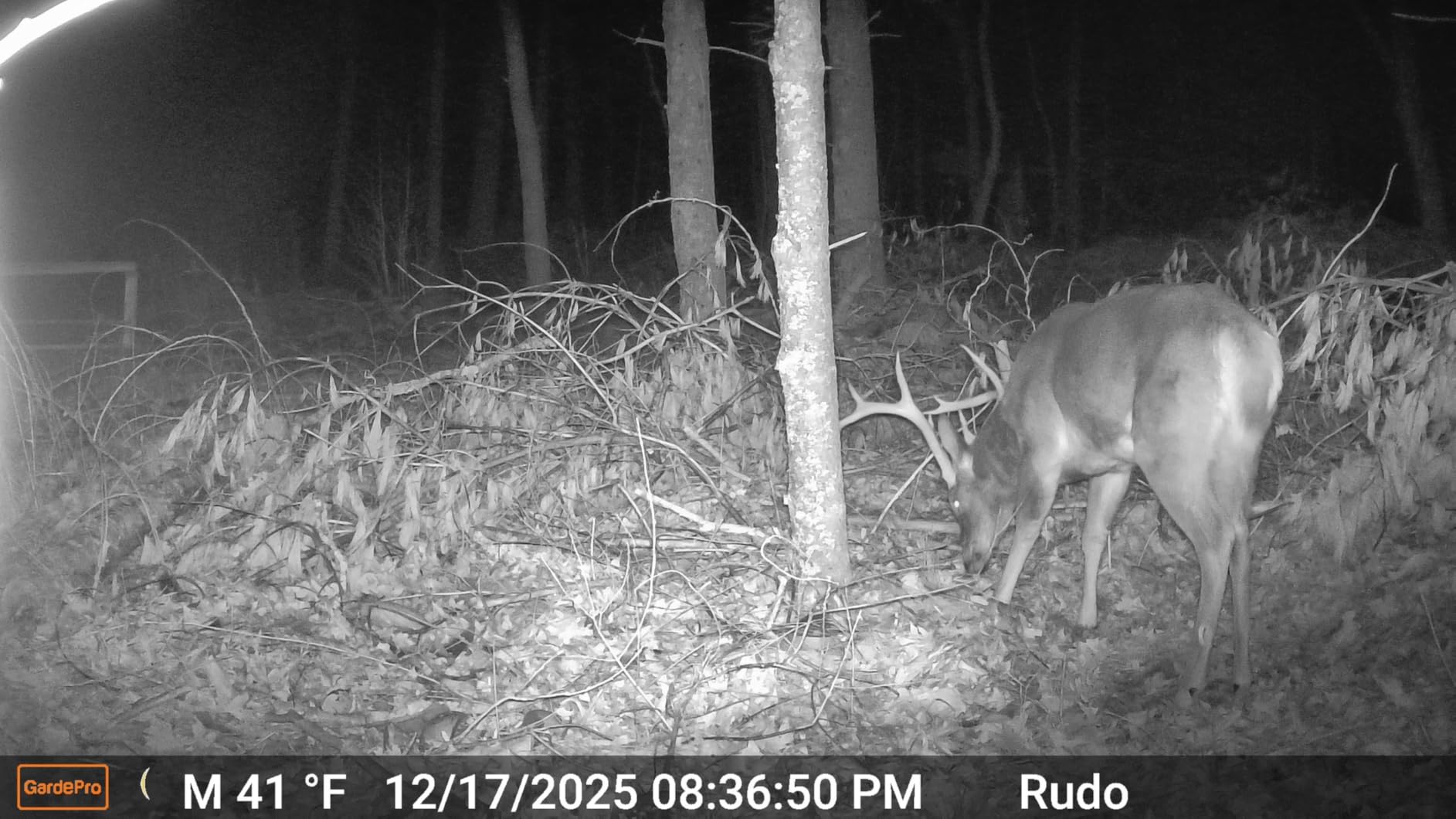 GardePro E8PMB WiFi Trail Camera, Rechargeable Battery, 32GB Memory customer photo 2
