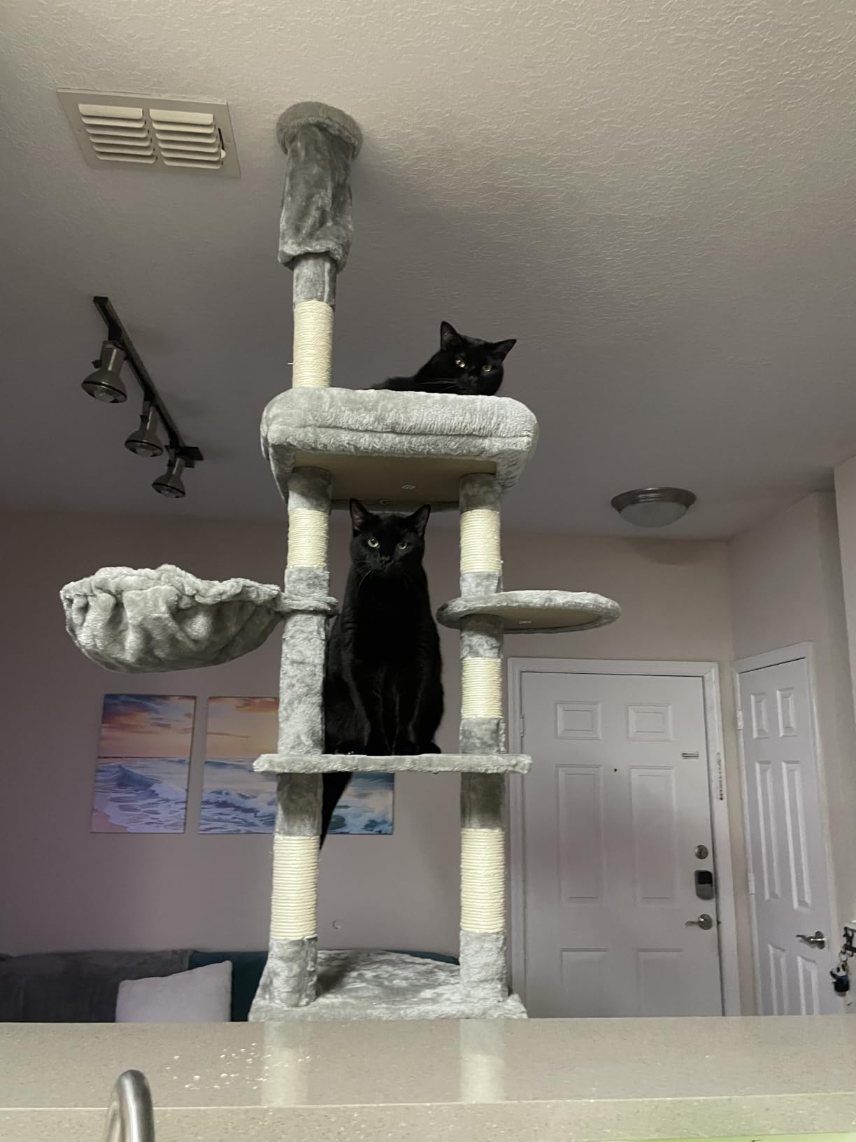 Hey-brother Cat Tree Tower, Adjustable Height, Floor to Ceiling, MPJ091W customer photo 1