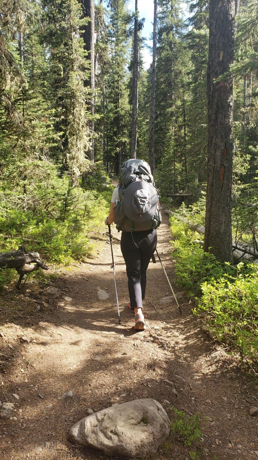 Gregory Maven 48L Women's Backpacking Pack, Small/Medium, Warm Bronze customer photo 1