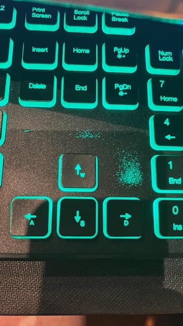 TECKNET Wired Keyboard, Silent Typing, Full-Size Layout,RGB Backlit customer photo 2