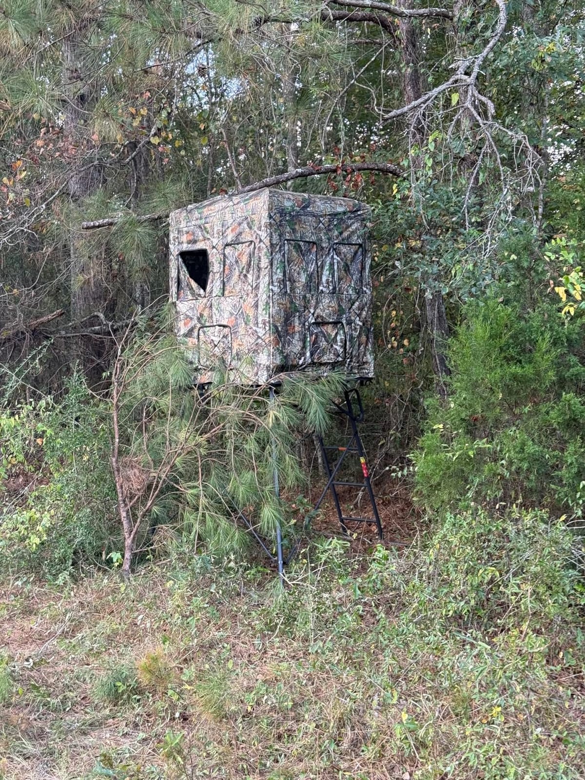 5/6FT Hunting Stand with Blind, 1-2 Man 4' x 4' Platform Deer Stand Tripod customer photo 2