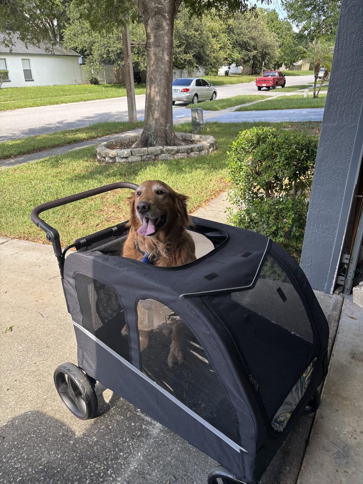 Dog Stroller for Large Dogs, Extra Large Pet Stroller for Medium Dogs, Dog Wagon Carriage, Foldable Design, Adjustable Handle, with Pocket, Up to 130 lbs, Black customer photo 2