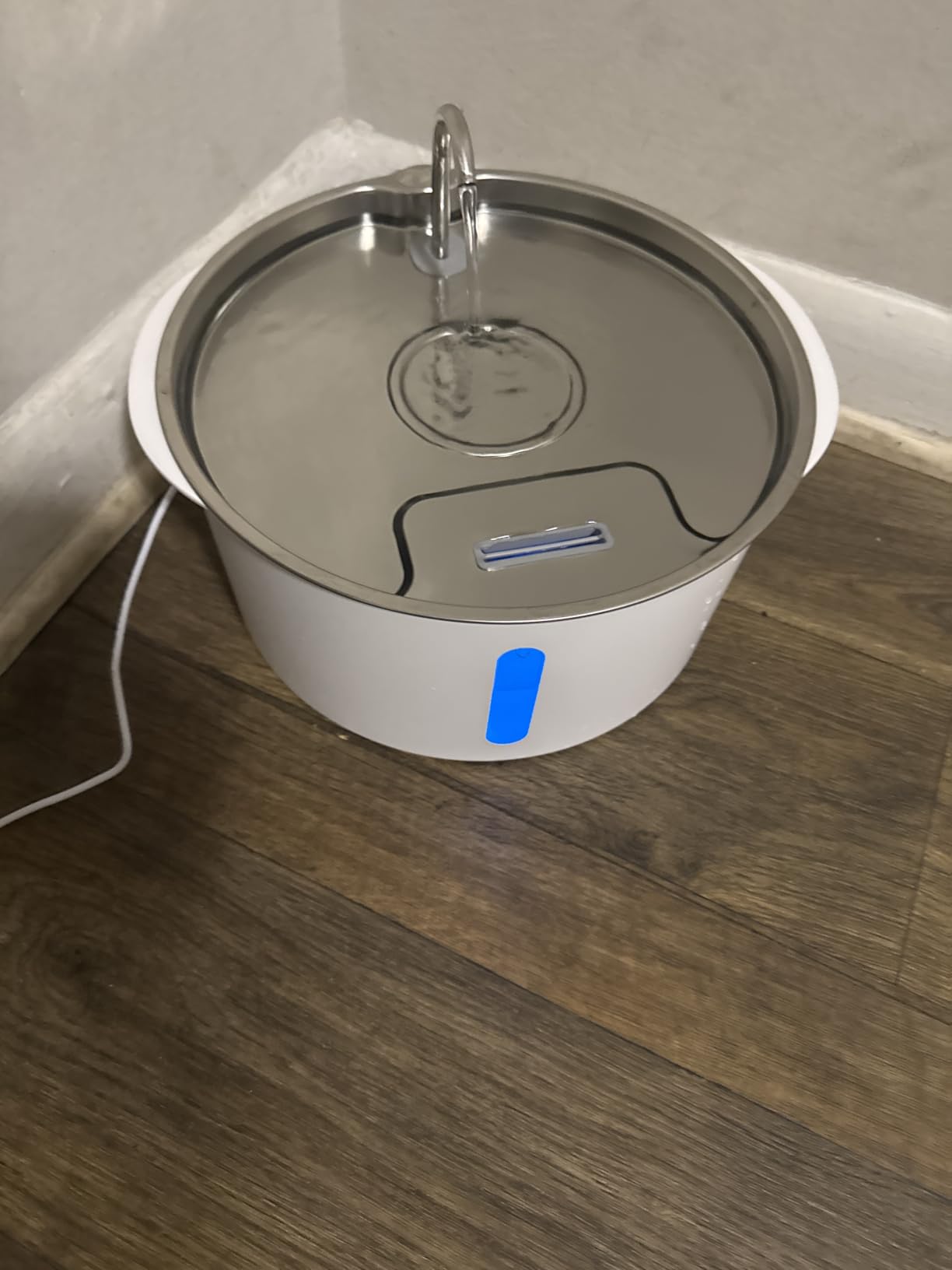 Pektaco Dog Water Fountain for Large Dogs, Stainless Steel Tray, 1 Filter customer photo 2