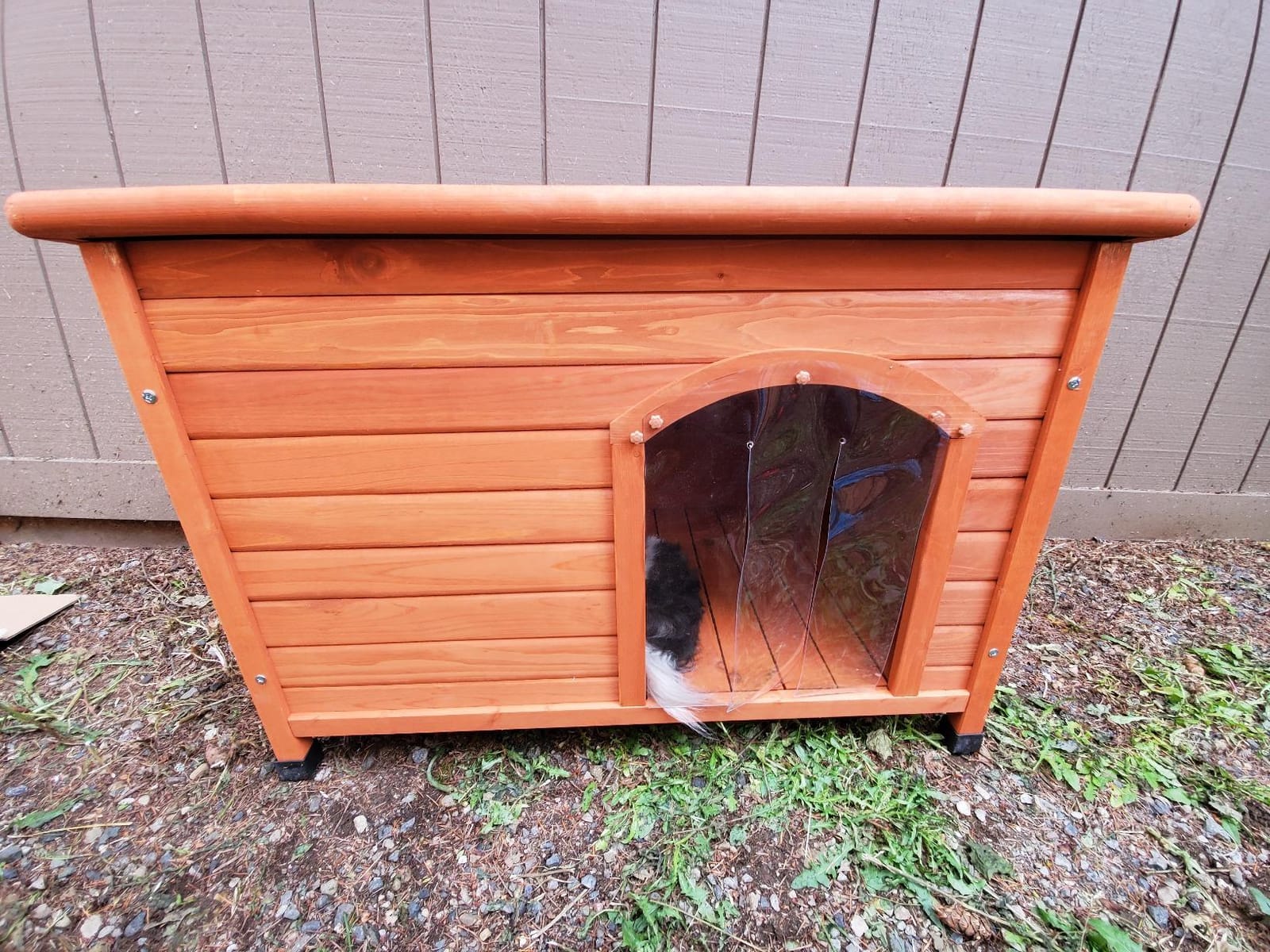 Insulated Dog House for Outside, Weatherpoof Dog House Outdoor Indoor customer photo 1